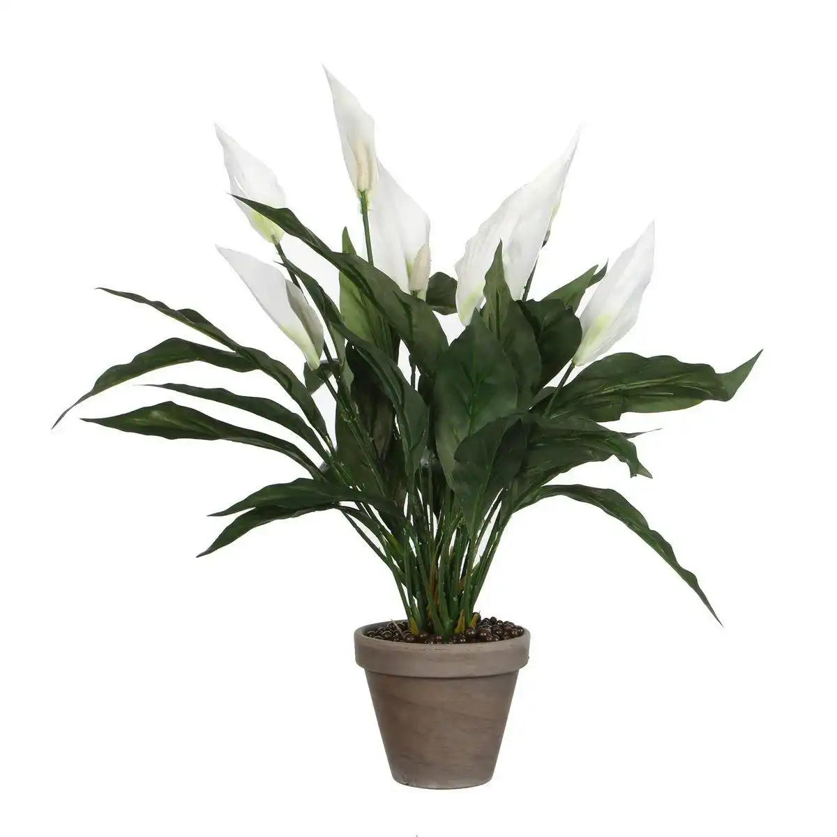 Künstliche Pflanze Spathiphyllum im Blumentopf Stan – H50 x Ø40 cm – Weiß - HomeDesign Knaus