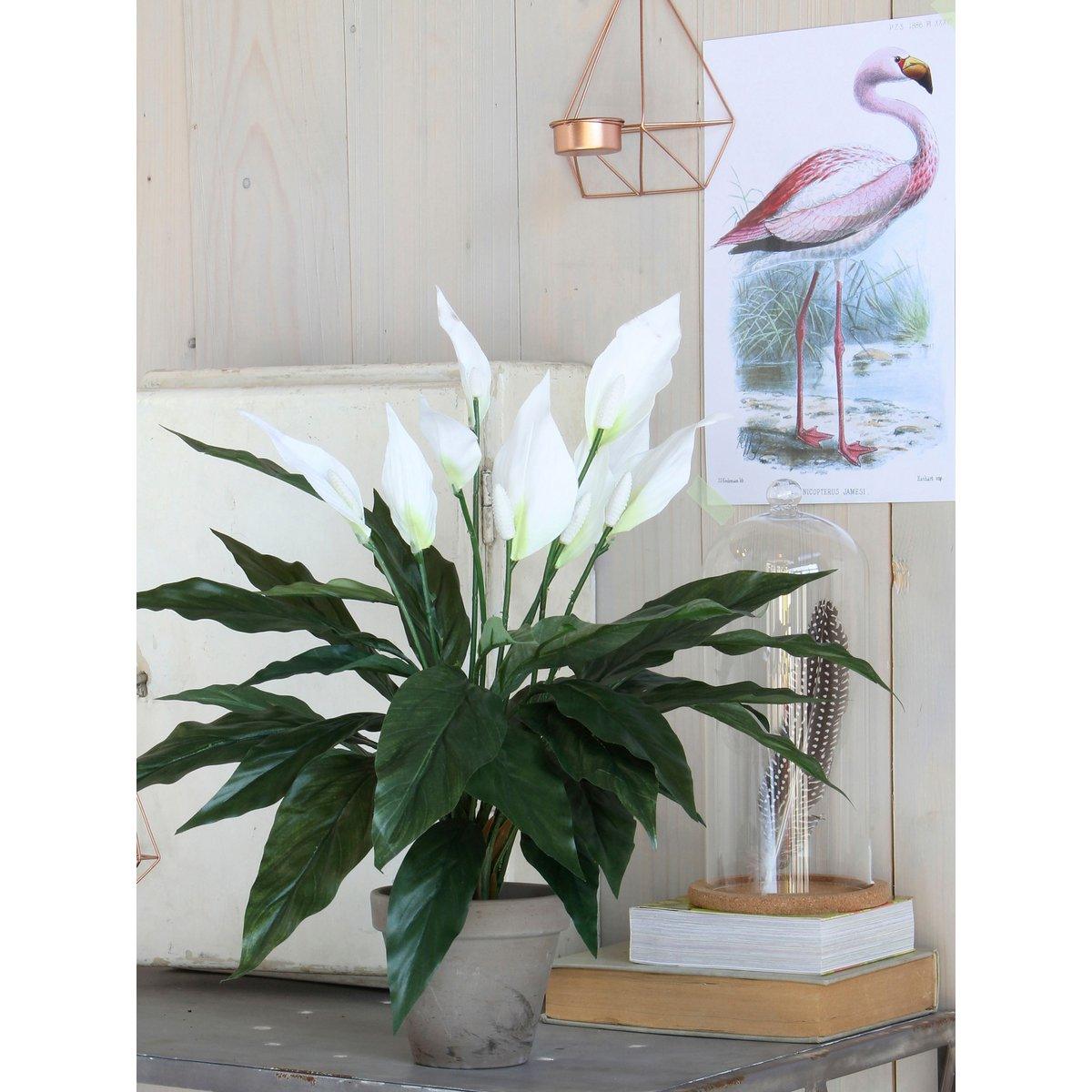 Künstliche Pflanze Spathiphyllum im Blumentopf Stan – H50 x Ø40 cm – Weiß - HomeDesign Knaus