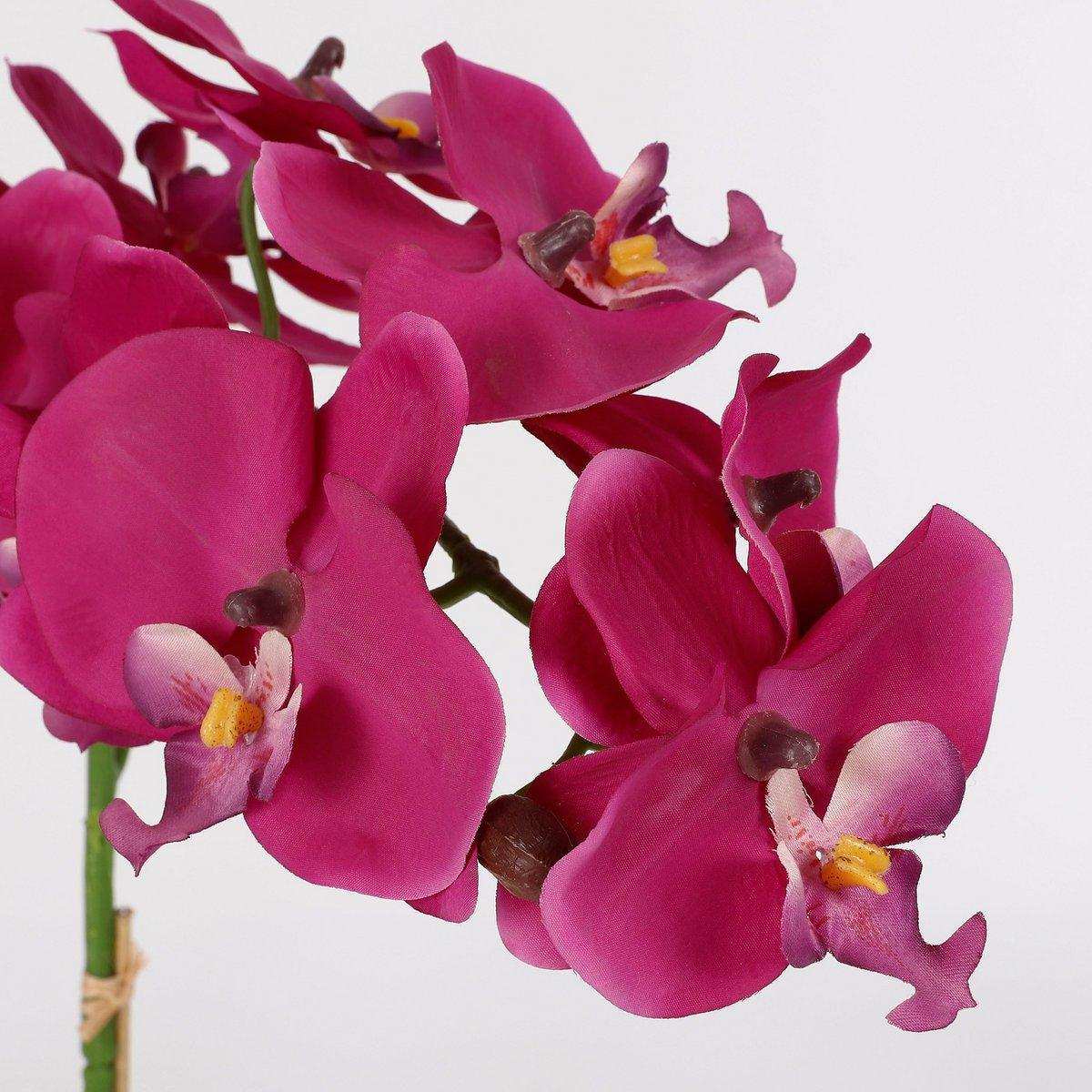 Künstliche Phalaenopsis-Pflanze im Blumentopf Tusca – H60 x Ø16 cm – Lila - HomeDesign Knaus