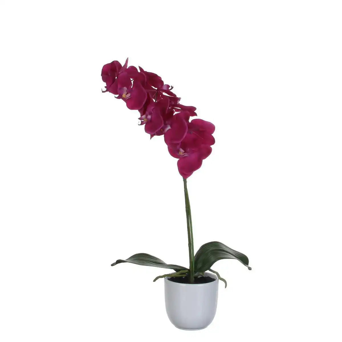 Künstliche Phalaenopsis-Pflanze im Blumentopf Tusca – H60 x Ø16 cm – Lila - HomeDesign Knaus