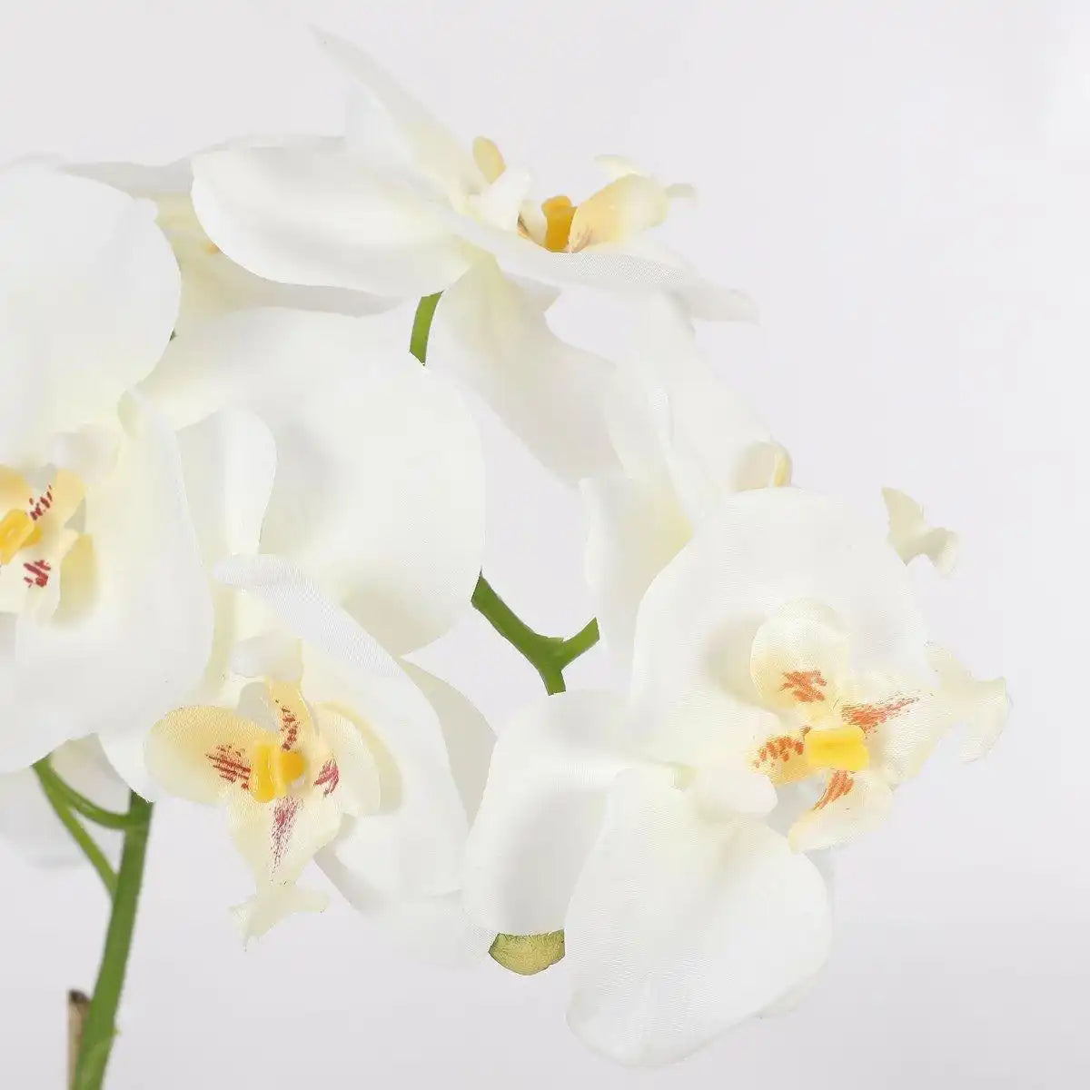 Künstliche Phalaenopsis-Pflanze im Blumentopf Tusca – H60 x Ø16 cm – Weiß - HomeDesign Knaus