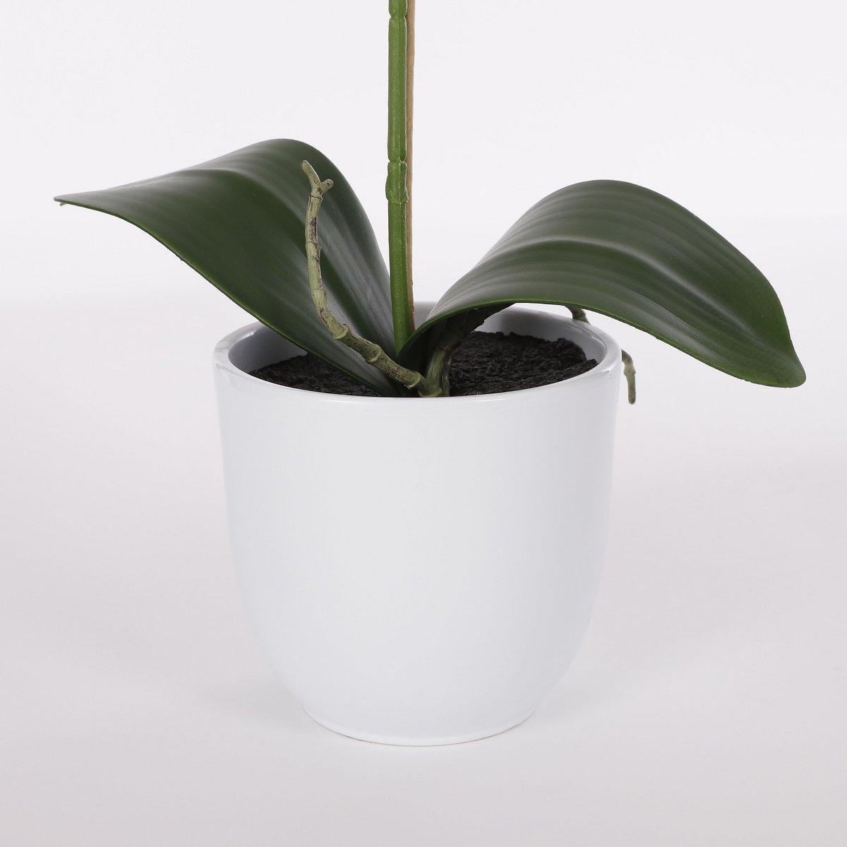 Künstliche Phalaenopsis-Pflanze im Blumentopf Tusca – H60 x Ø16 cm – Weiß - HomeDesign Knaus