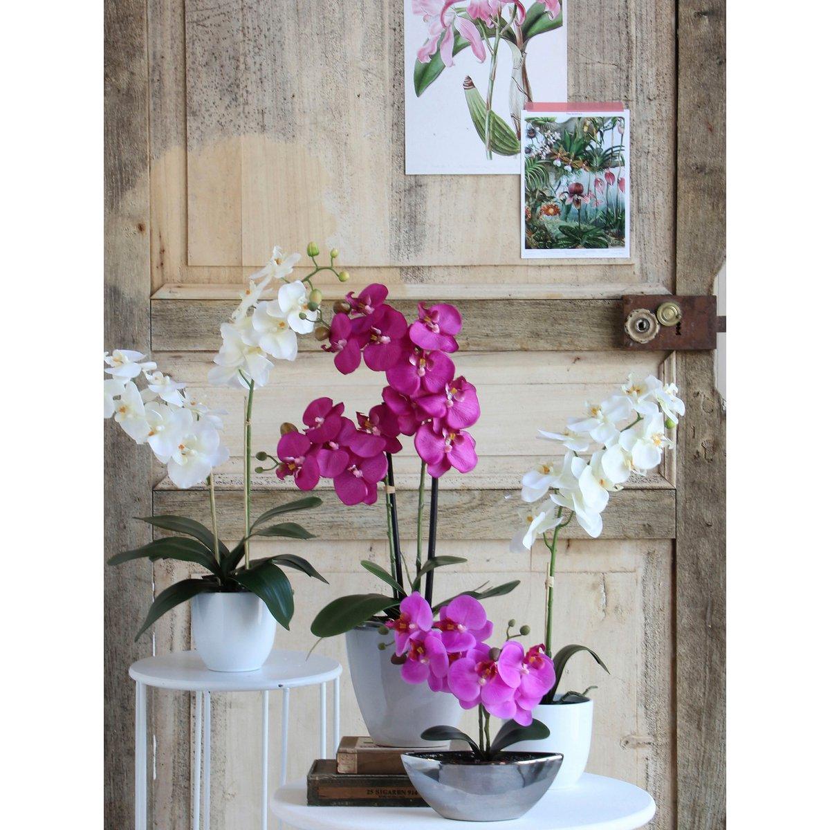 Künstliche Phalaenopsis-Pflanze im Blumentopf Tusca – H60 x Ø16 cm – Weiß - HomeDesign Knaus