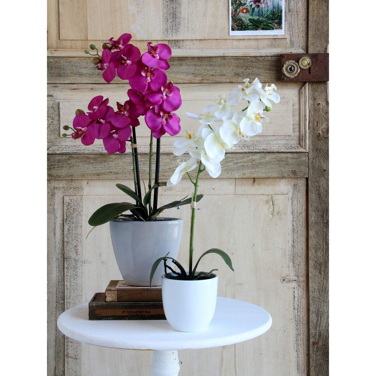 Künstliche Phalaenopsis-Pflanze im Blumentopf Tusca – H60 x Ø16 cm – Weiß - HomeDesign Knaus