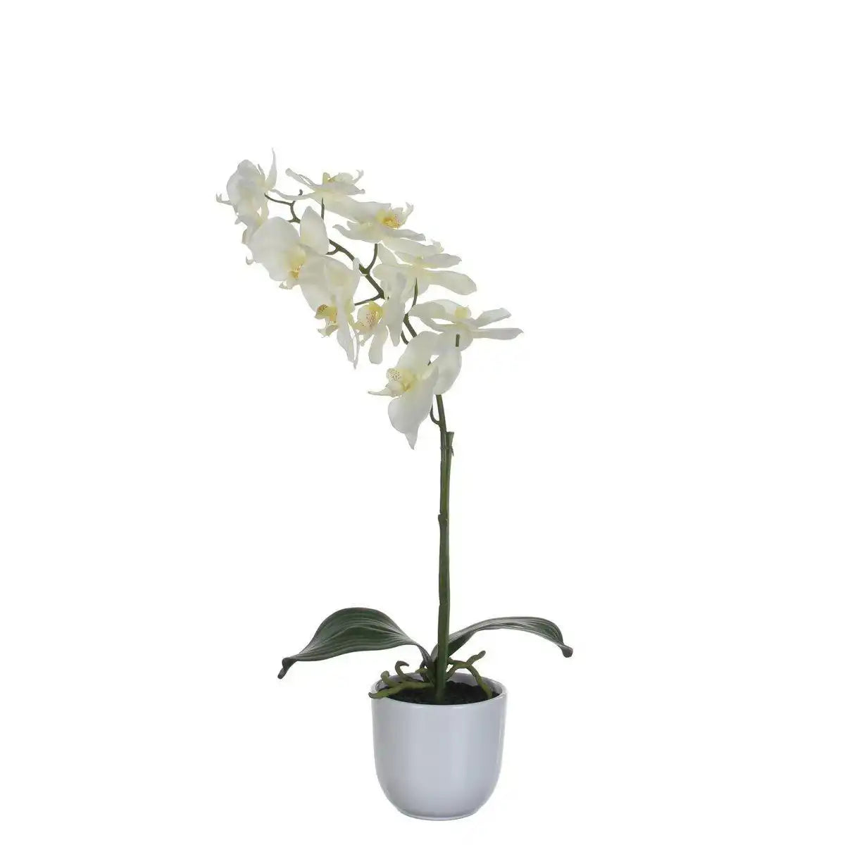 Künstliche Phalaenopsis-Pflanze im Blumentopf Tusca – H60 x Ø16 cm – Weiß - HomeDesign Knaus