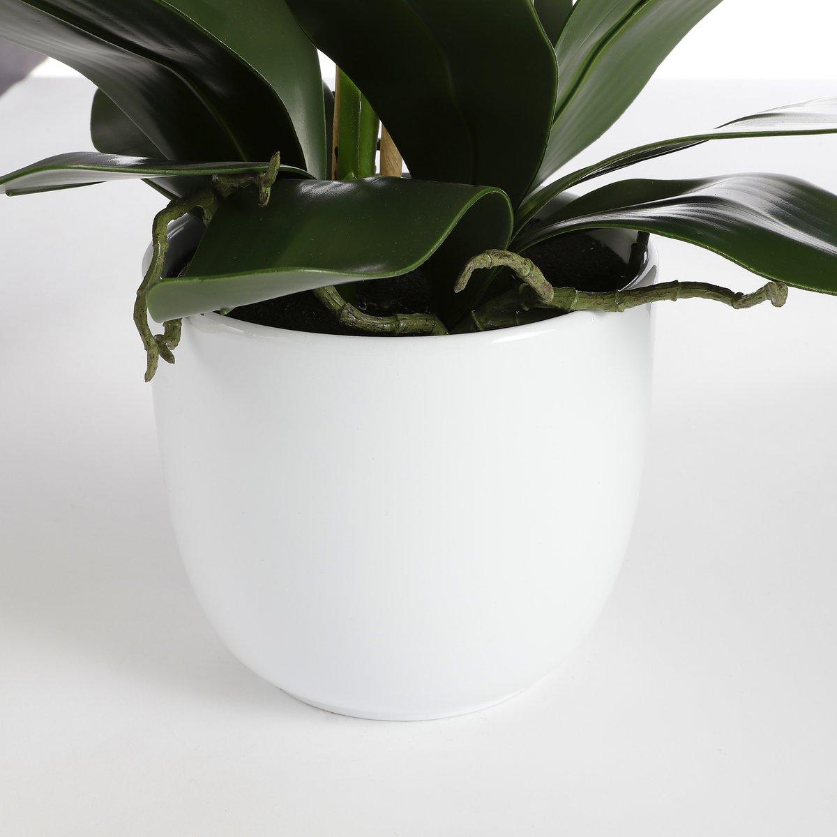 Künstliche Phalaenopsis-Pflanze im Blumentopf Tusca – H66 x Ø38 cm – Creme - HomeDesign Knaus