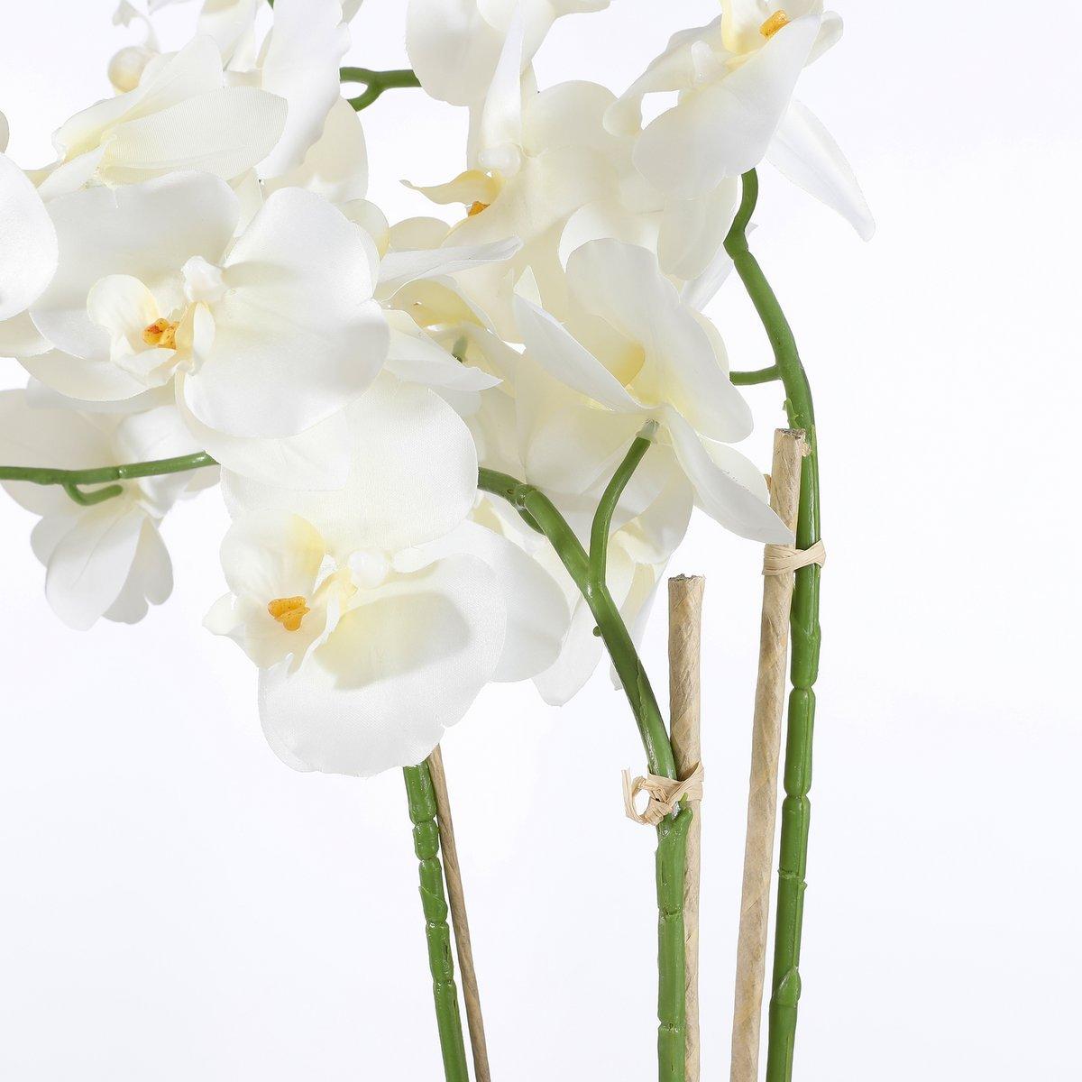 Künstliche Phalaenopsis-Pflanze im Blumentopf Tusca – H66 x Ø38 cm – Creme - HomeDesign Knaus