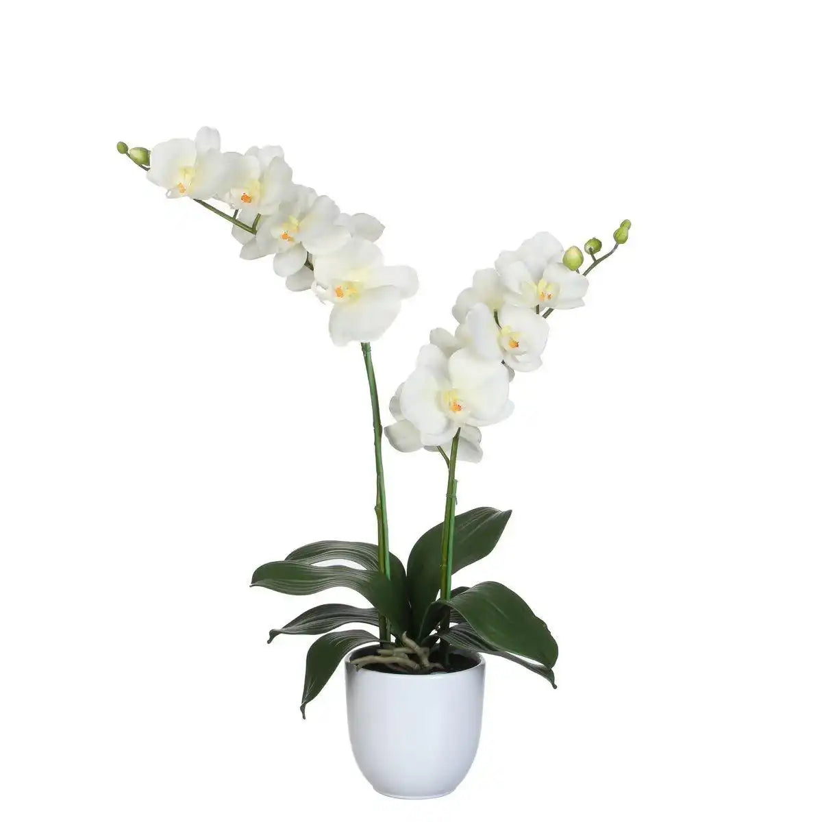 Künstliche Phalaenopsis-Pflanze im Blumentopf Tusca – H66 x Ø38 cm – Creme - HomeDesign Knaus