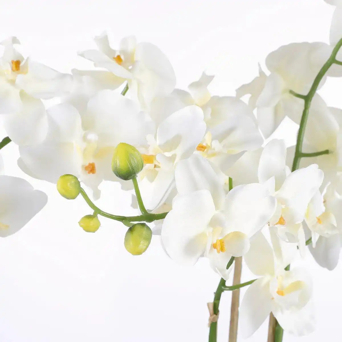 Künstliche Phalaenopsis-Pflanze im Blumentopf Tusca – H66 x Ø38 cm – Creme - HomeDesign Knaus