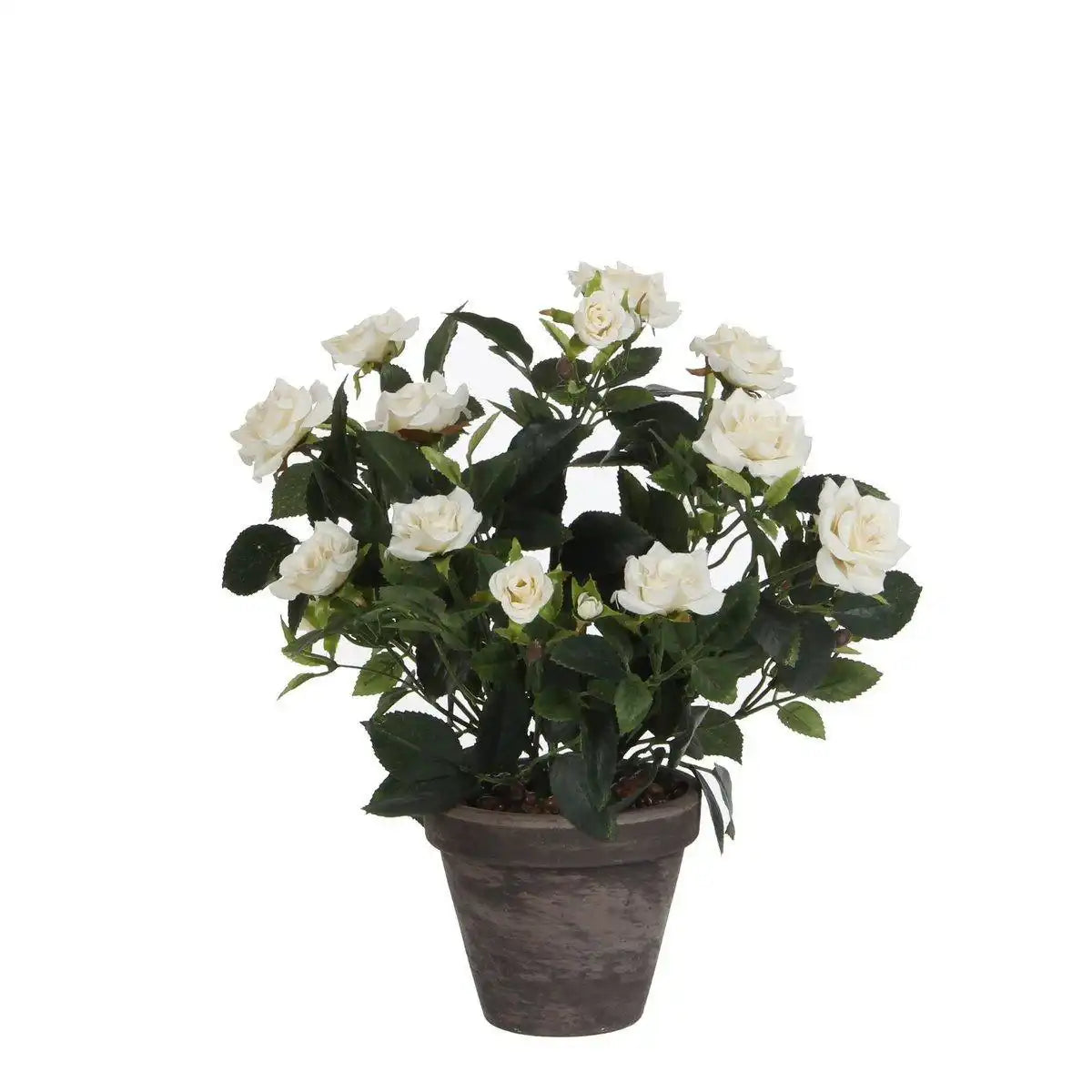 Künstliche Rosenstrauchpflanze im Blumentopf Stan – H33 x Ø25 cm – Weiß - HomeDesign Knaus
