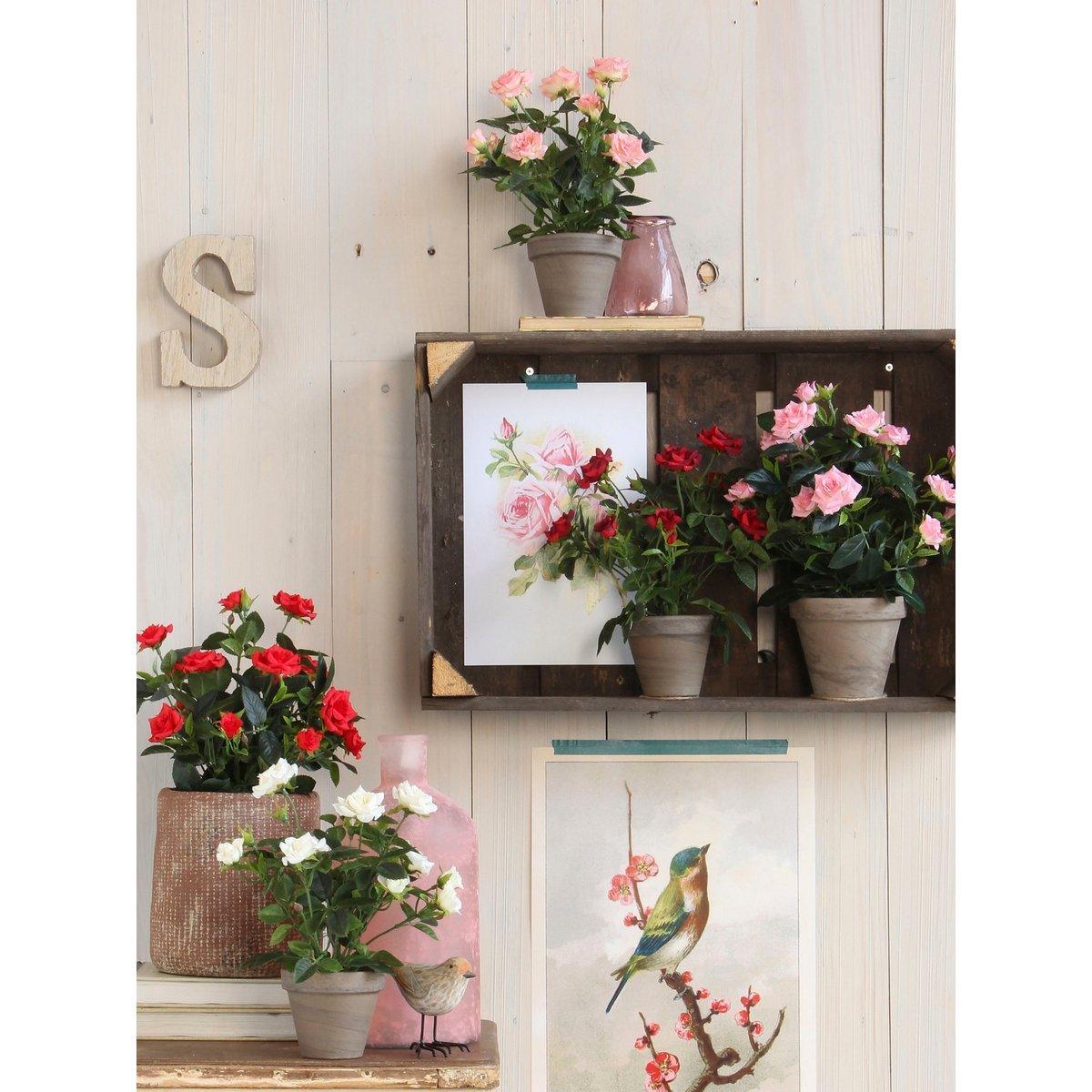 Künstliche Rosenstrauchpflanze im Blumentopf Stan – H33 x Ø25 cm – Weiß - HomeDesign Knaus