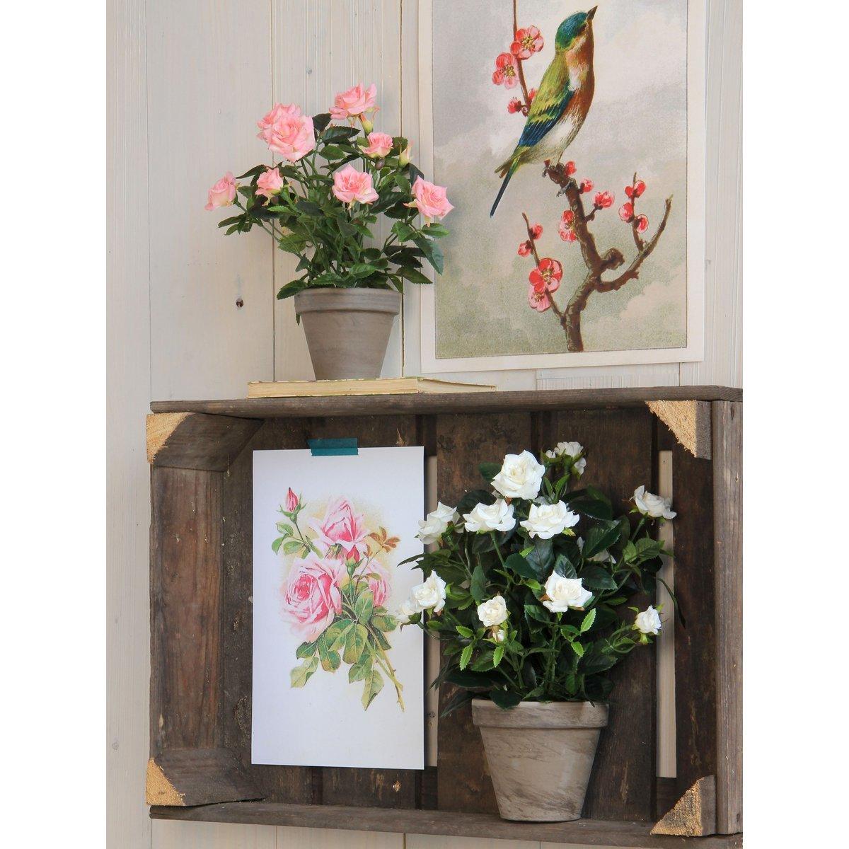 Künstliche Rosenstrauchpflanze im Blumentopf Stan – H33 x Ø25 cm – Weiß - HomeDesign Knaus