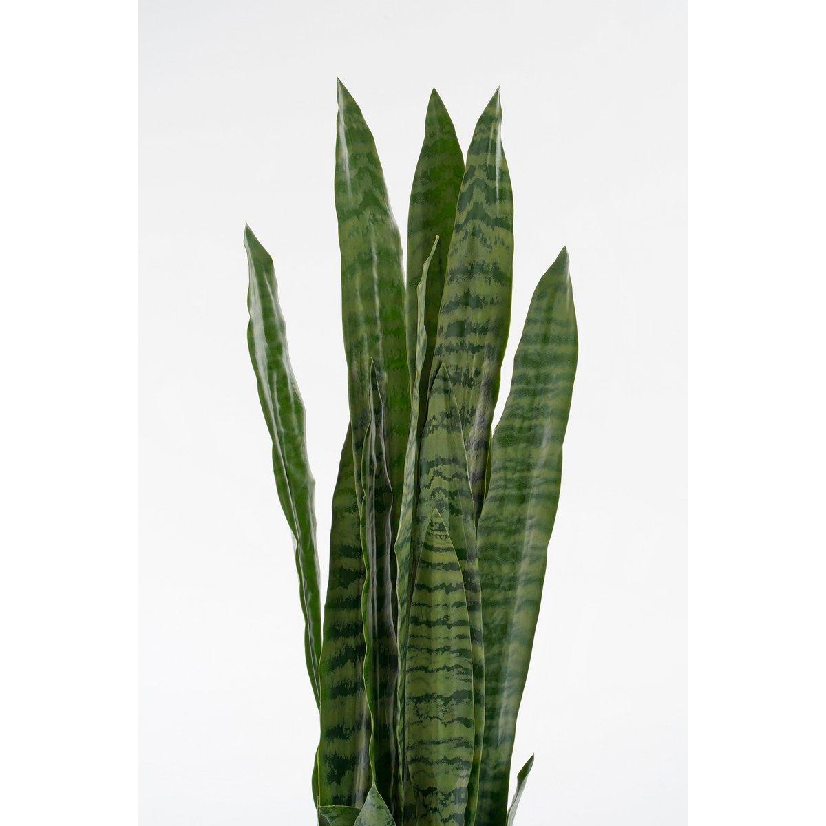 Künstliche Sanseveria-Pflanze im Blumentopf – H80 x Ø15 cm – Grün - HomeDesign Knaus