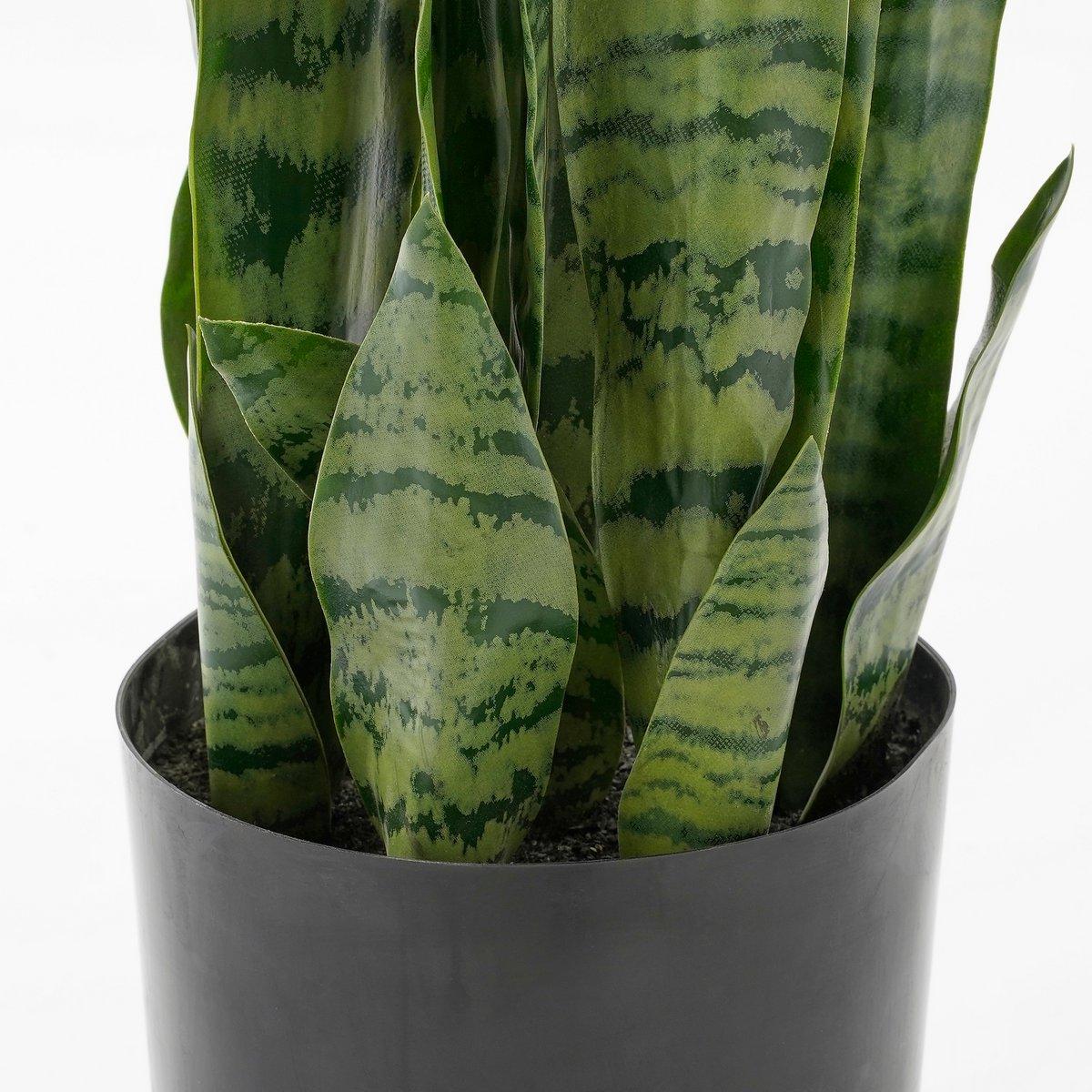 Künstliche Sanseveria-Pflanze im Blumentopf – H80 x Ø15 cm – Grün - HomeDesign Knaus