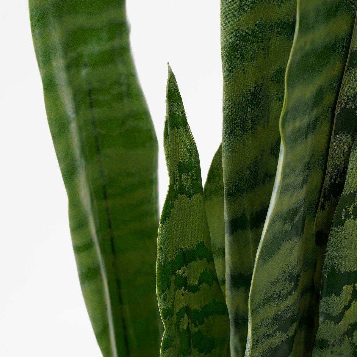 Künstliche Sanseveria-Pflanze im Blumentopf – H80 x Ø15 cm – Grün - HomeDesign Knaus