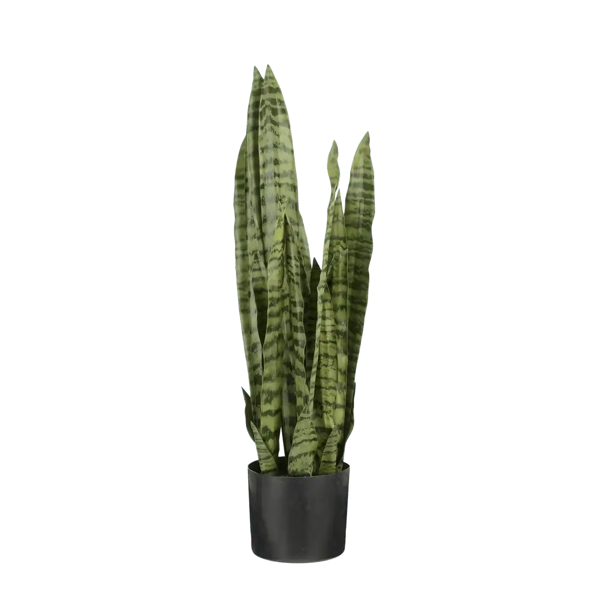 Künstliche Sanseveria-Pflanze im Blumentopf – H80 x Ø15 cm – Grün - HomeDesign Knaus