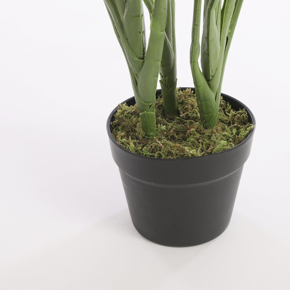 Künstliche Strelitzia-Pflanze – H110 x Ø60 cm – Grün - HomeDesign Knaus