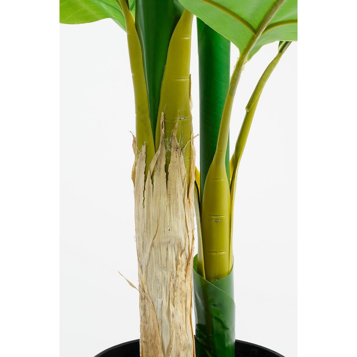 Künstliche Strelitzia-Pflanze – H150 x Ø40 cm – Grün - HomeDesign Knaus