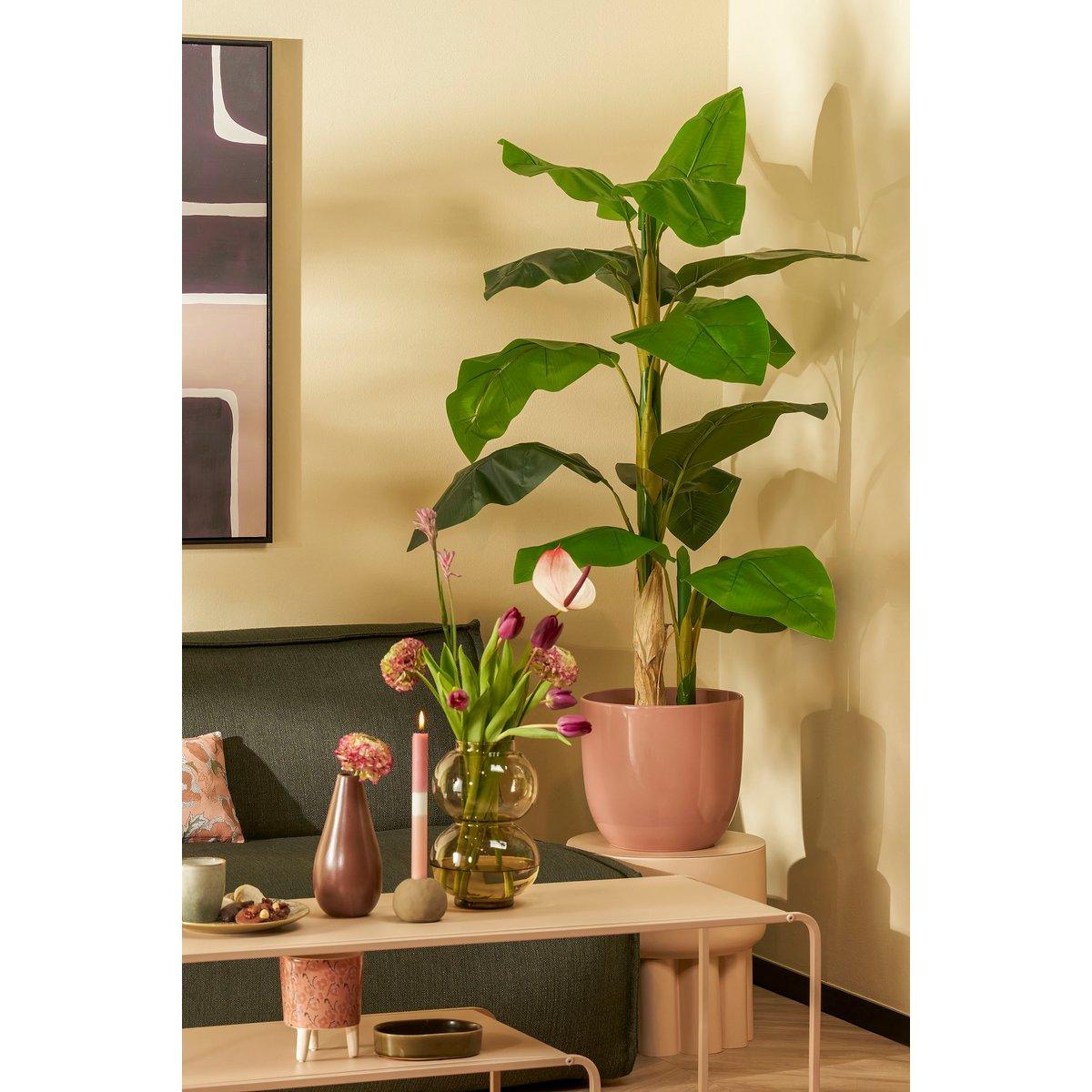 Künstliche Strelitzia-Pflanze – H150 x Ø40 cm – Grün - HomeDesign Knaus