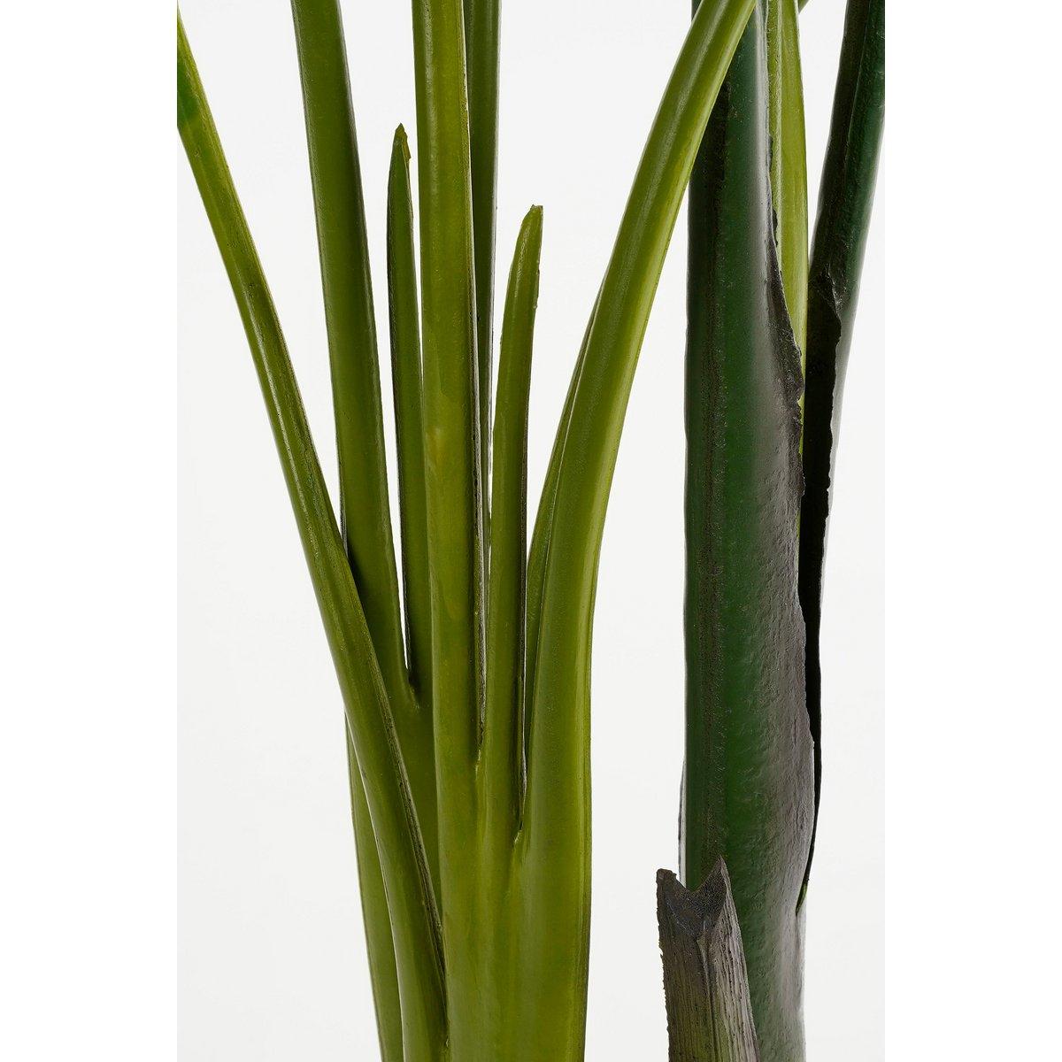 Künstliche Strelitzia-Pflanze im Blumentopf – H150 x Ø25 cm – Grün - HomeDesign Knaus