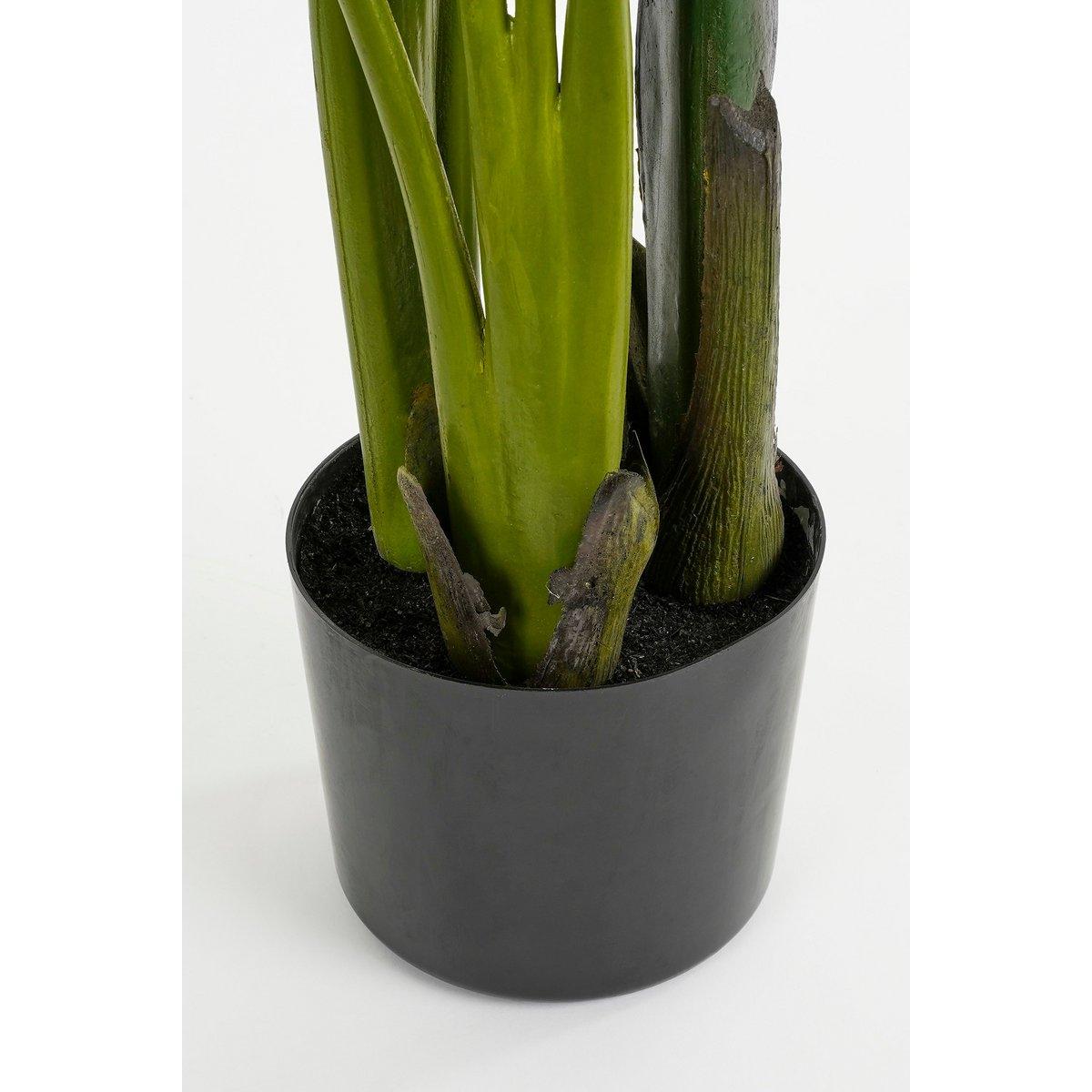 Künstliche Strelitzia-Pflanze im Blumentopf – H150 x Ø25 cm – Grün - HomeDesign Knaus