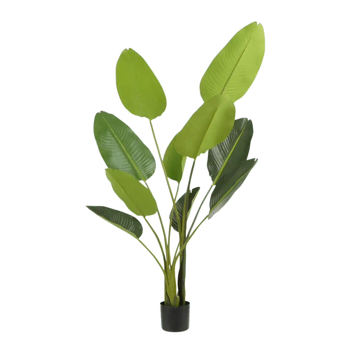 Künstliche Strelitzia-Pflanze im Blumentopf – H150 x Ø25 cm – Grün - HomeDesign Knaus