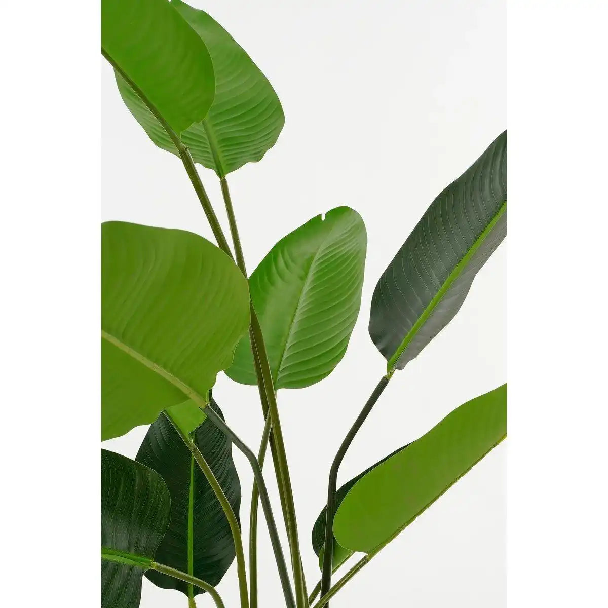 Künstliche Strelitzia-Pflanze im Blumentopf – H150 x Ø25 cm – Grün - HomeDesign Knaus