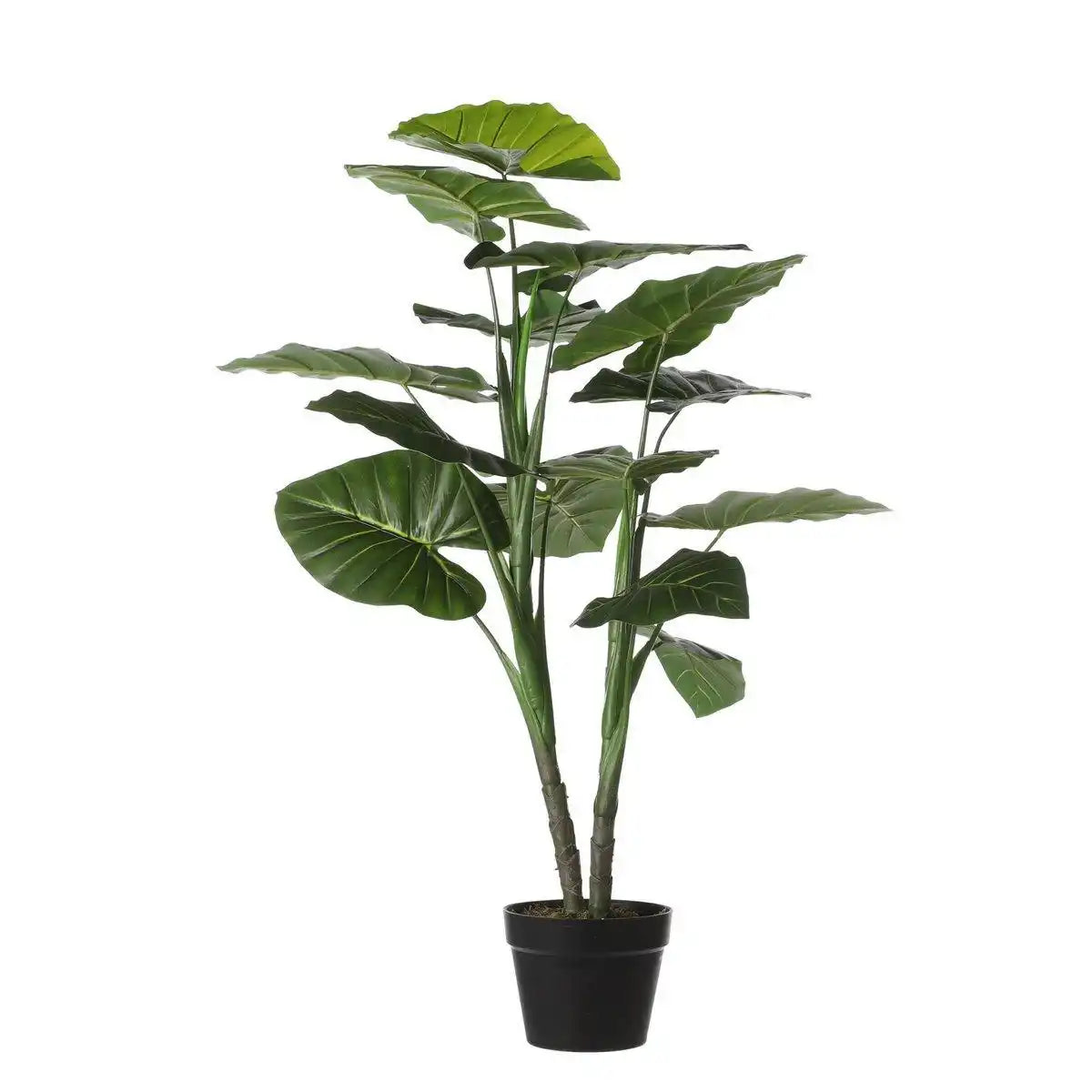 Künstliche Taro-Pflanze – H100 x Ø70 cm – Grün - HomeDesign Knaus
