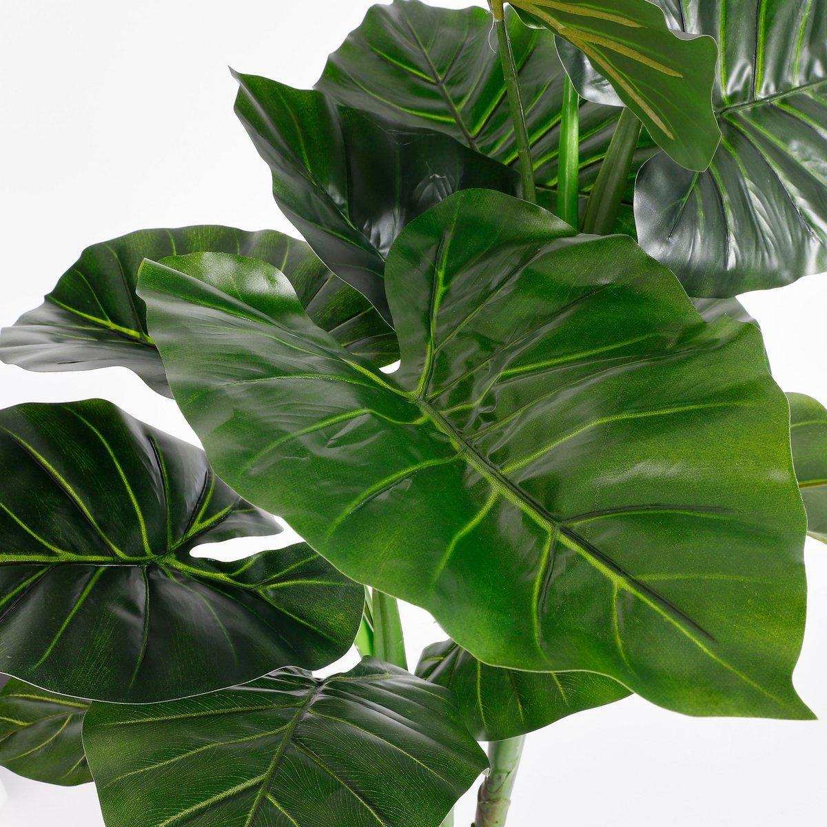 Künstliche Taro-Pflanze – H100 x Ø70 cm – Grün - HomeDesign Knaus