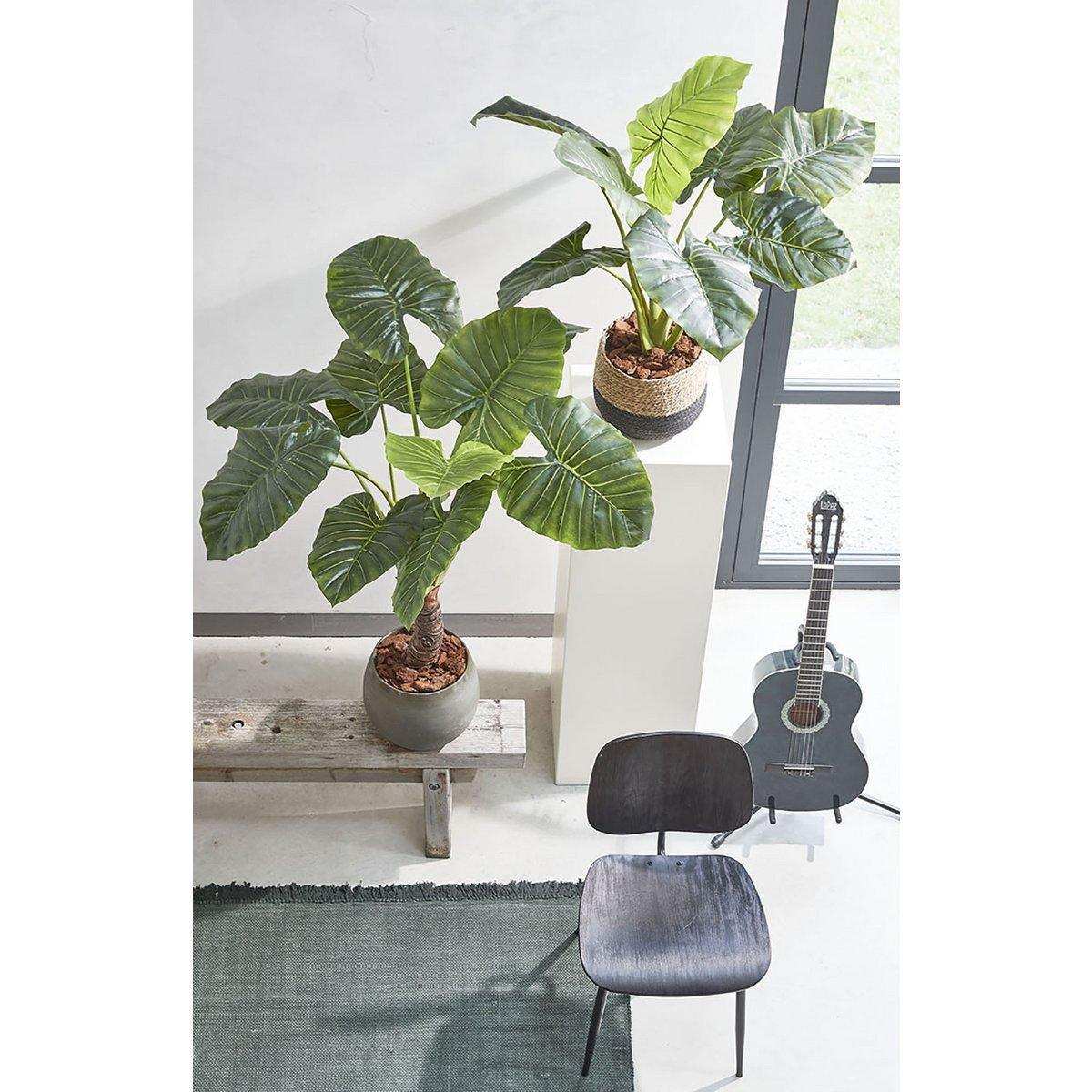 Künstliche Taro-Pflanze – H100 x Ø70 cm – Grün - HomeDesign Knaus