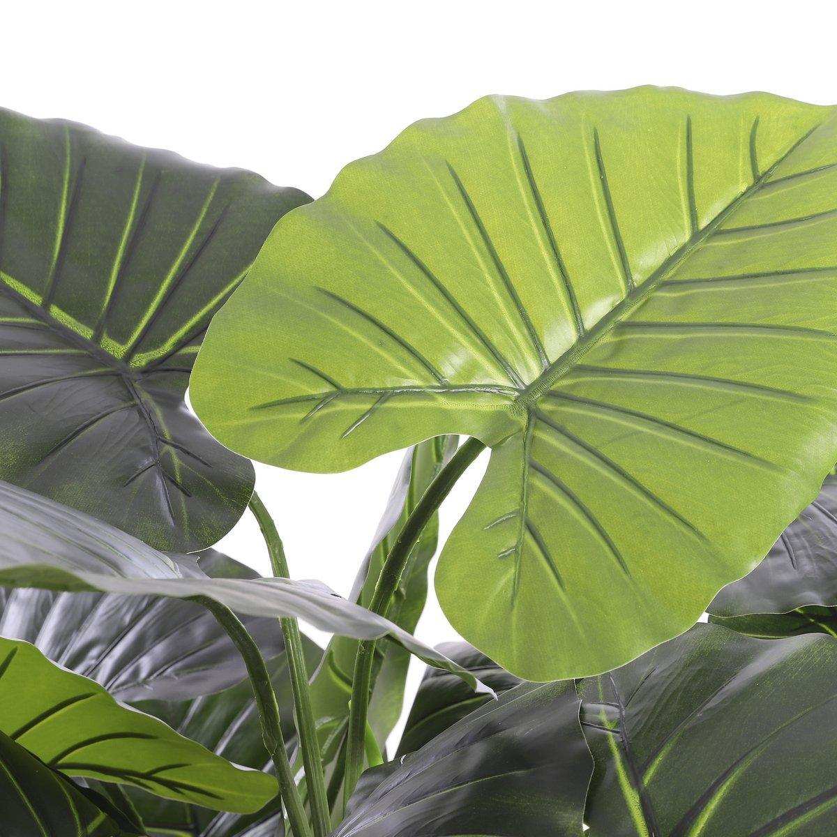 Künstliche Taro-Pflanze – H60 x Ø60 cm – Grün - HomeDesign Knaus