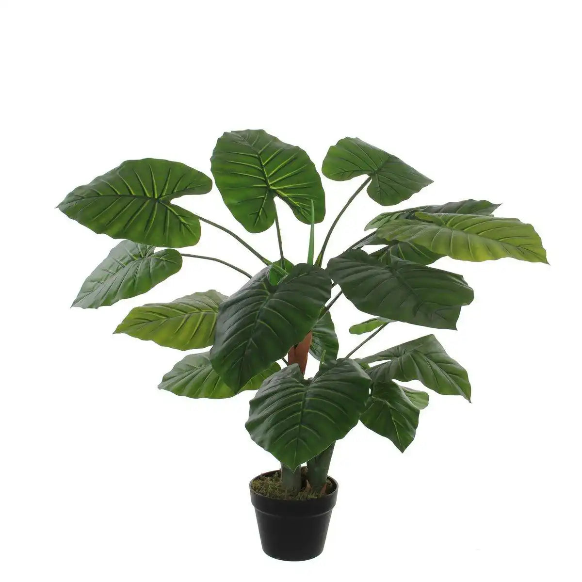 Künstliche Taro-Pflanze – H90 x Ø60 cm – Grün - HomeDesign Knaus