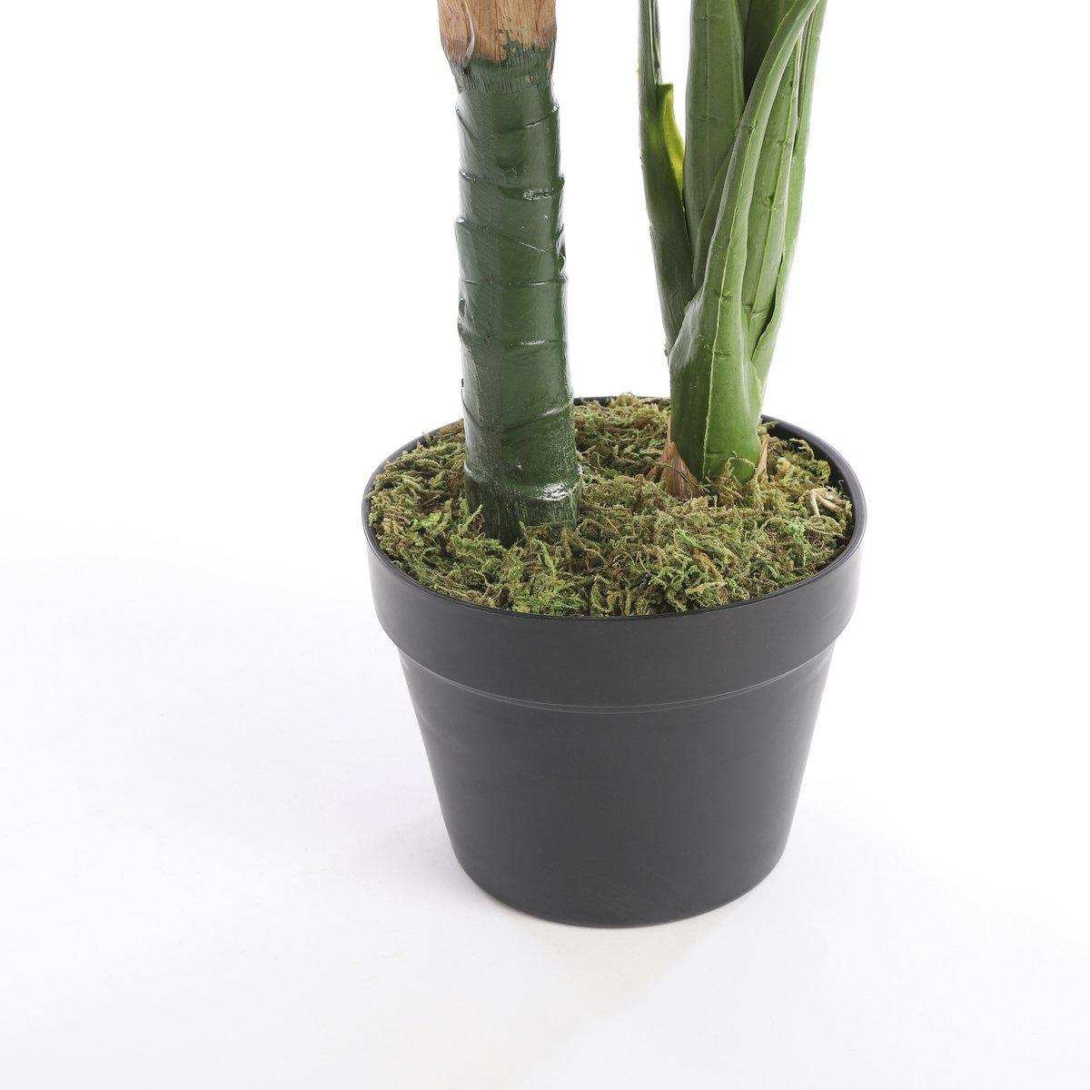 Künstliche Taro-Pflanze – H90 x Ø60 cm – Grün - HomeDesign Knaus