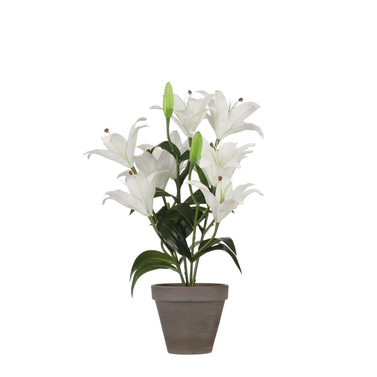 Künstliche Tigerlilie im Blumentopf Stan – H47 x Ø45 cm – Weiß - HomeDesign Knaus