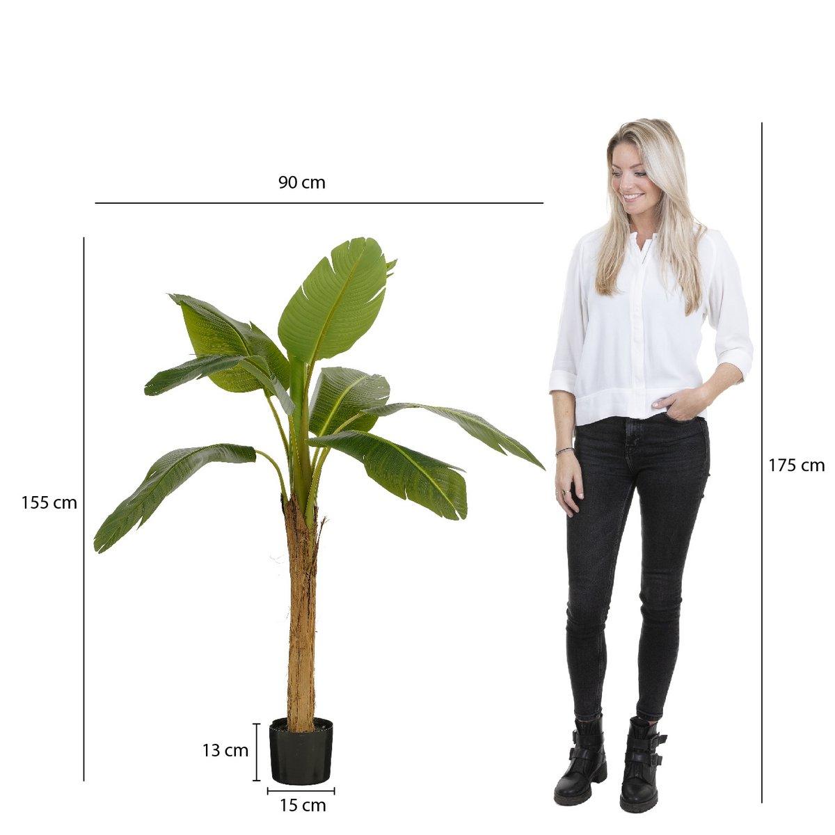 Künstlicher Bananenbaum im Topf – H155 x Ø90 cm – Grün - HomeDesign Knaus