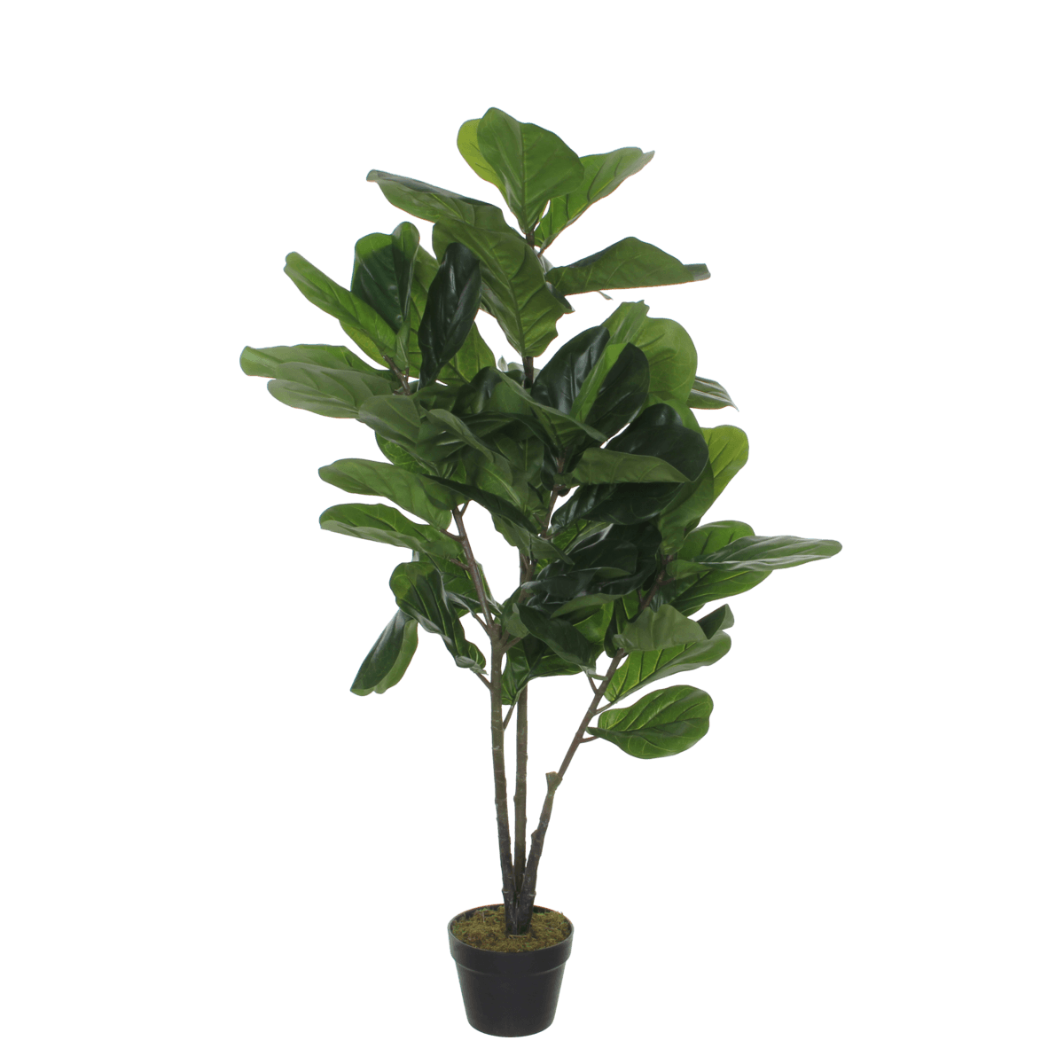 Kunstpflanze Ficus Lyrata - H120 x Ø60 cm - Grün - HomeDesign Knaus