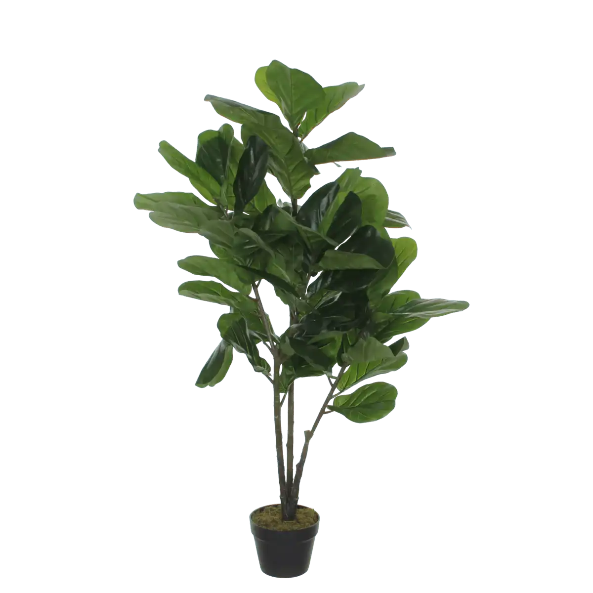 Kunstpflanze Ficus Lyrata - H120 x Ø60 cm - Grün - HomeDesign Knaus