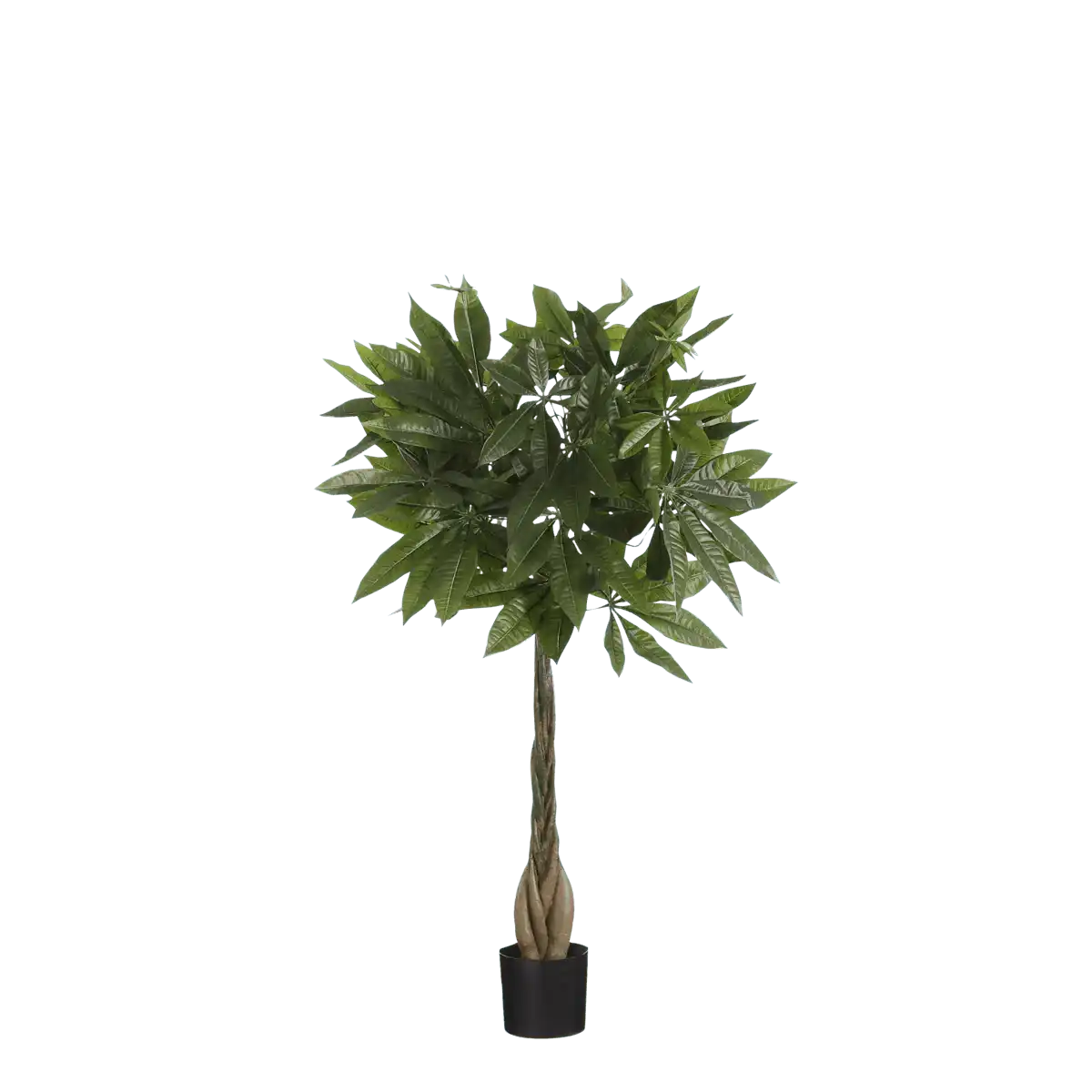 Kunstpflanze Pachira - H80 x Ø60 cm - Grün - HomeDesign Knaus