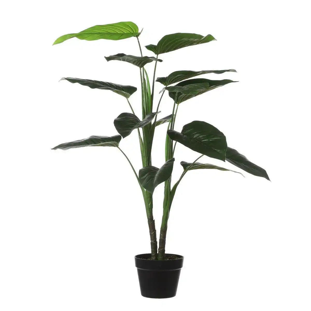 Kunstpflanze Philodendron - H100x Ø70 cm - Grün - HomeDesign Knaus