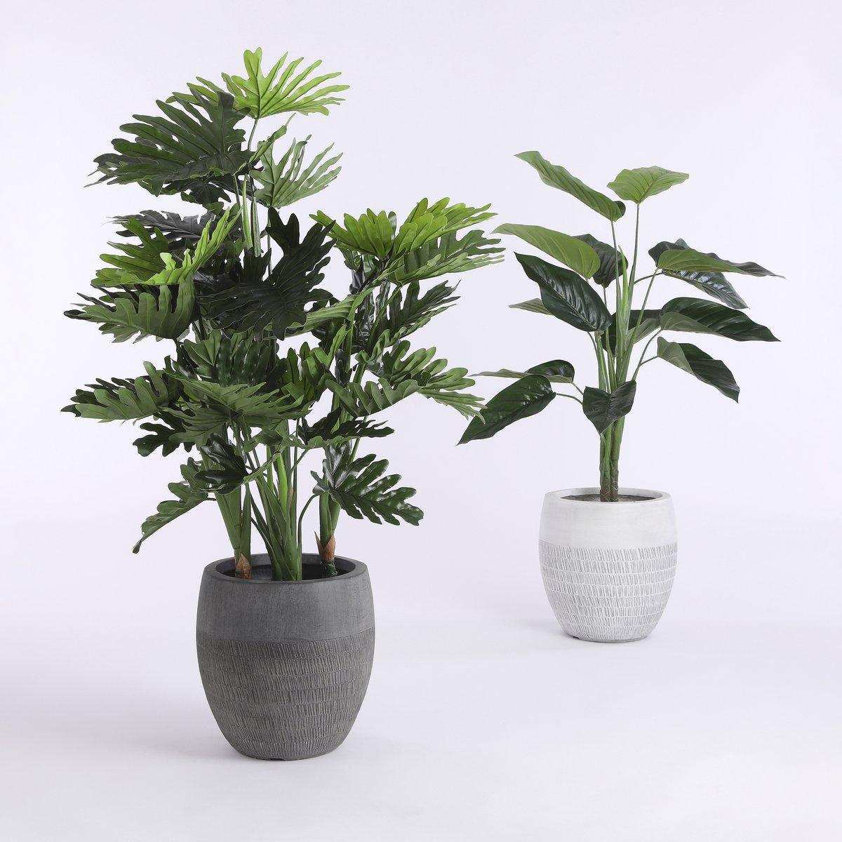 Kunstpflanze Philodendron - H100x Ø70 cm - Grün - HomeDesign Knaus