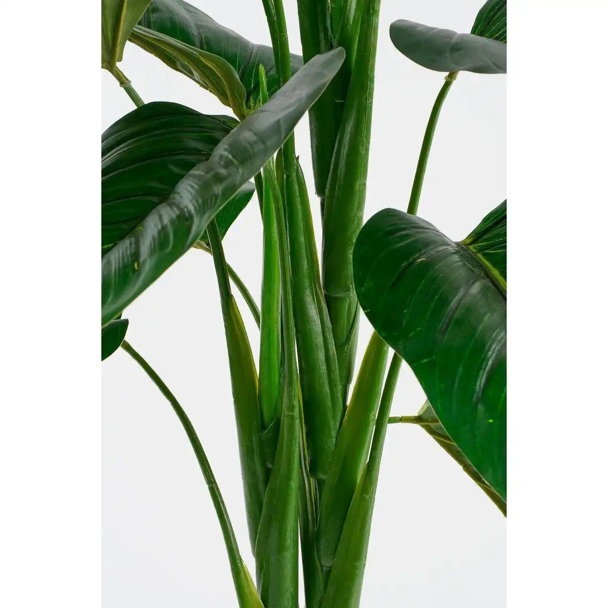 Kunstpflanze Philodendron - H100x Ø70 cm - Grün - HomeDesign Knaus