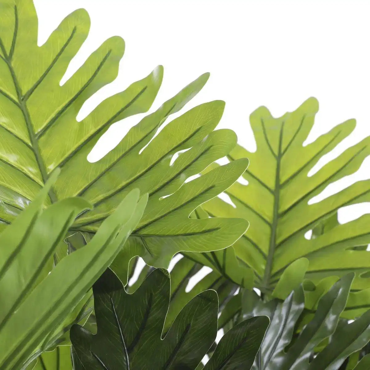 Philodendron Künstliche Pflanze im Topf – H100 x Ø70 cm – Grün - HomeDesign Knaus