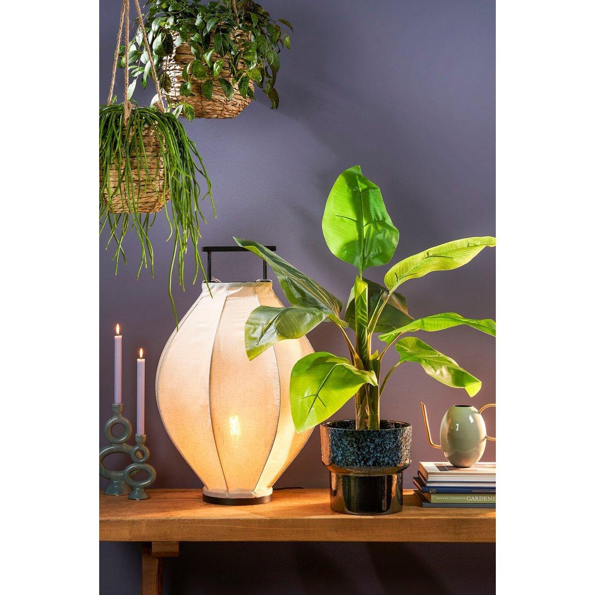 Strelitzia Kunstpflanze - H100 x Ø40 cm - Grün - HomeDesign Knaus