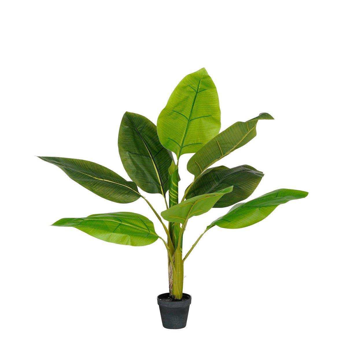 Strelitzia Kunstpflanze - H100 x Ø40 cm - Grün - HomeDesign Knaus